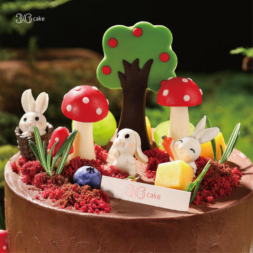 萌兔秘境·巧克力鲜果脆脆蛋糕，可选1.5/2.5/6磅 商品图2