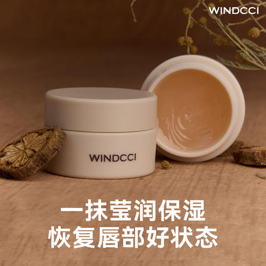 WINDCCI凝润保湿唇膜 商品图0
