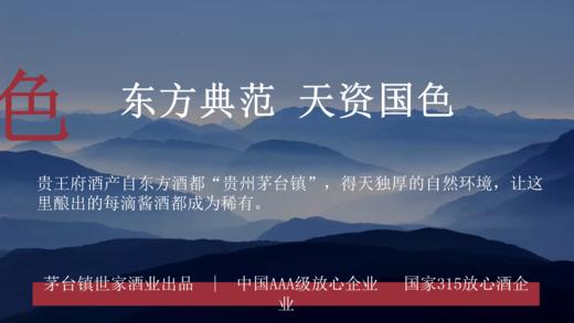 贵王府53%VOL酱香型白酒6支装500ml*6 商品图5
