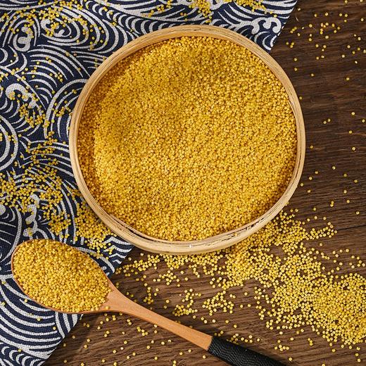 精选山西杂粮布袋小米五谷杂粮农家粗粮小米粥2500g袋装 商品图1