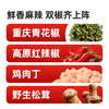 【抖音热卖同款】海天重庆小面调料200g 麻辣鲜香 地道重庆口味 商品缩略图2