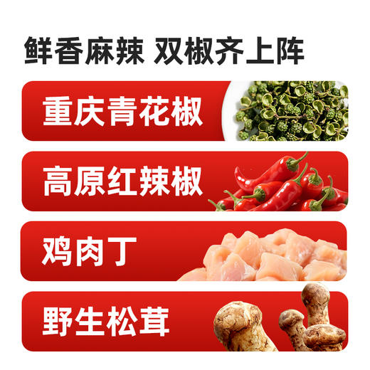 【抖音热卖同款】海天重庆小面调料200g 麻辣鲜香 地道重庆口味 商品图2
