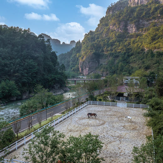 3天2晚【绍兴·新昌安岚】错峰大促！含特调鸡尾酒、畅行登云梯、旅拍、室内儿童游乐室等，二居别墅尊享云端下午茶及特色SPA，住宿支持拆分使用，打开幽谷秘境之旅~ 商品图10