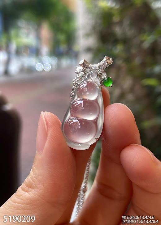 5190209，福豆吊坠。具体价格微信咨询 商品图2