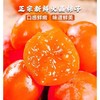 陕西火晶柿子 商品缩略图0
