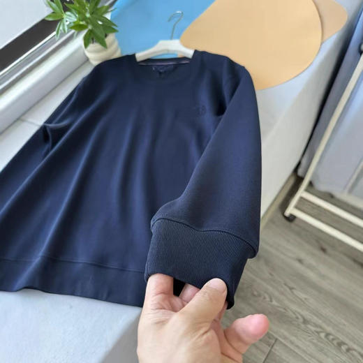 推荐25秋冬新款美式休闲珠地肌理双面布压纹字母圆领卫衣男士 商品图2