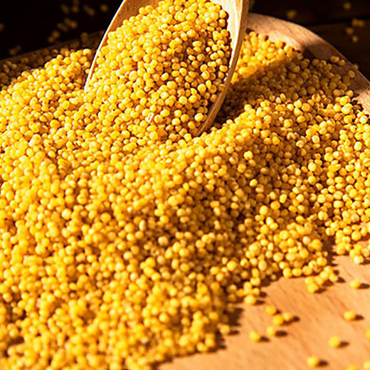 正宗山西特产富硒小米五谷杂粮粗粮农家自产小米真空包装500g*2盒 商品图3