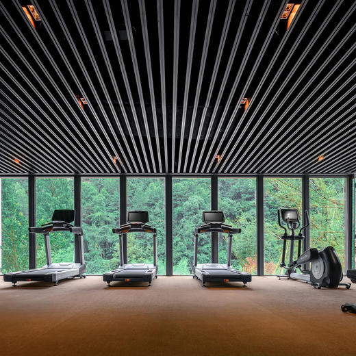 3天2晚【绍兴·新昌安岚】错峰大促！含特调鸡尾酒、畅行登云梯、旅拍、室内儿童游乐室等，二居别墅尊享云端下午茶及特色SPA，住宿支持拆分使用，打开幽谷秘境之旅~ 商品图2