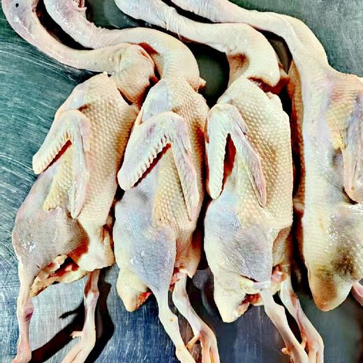 自产生态麻鸭肉（冷冻） | 林下散养 肉质鲜嫩 | 石嫣农场 * Goose And Duck | Self-Produced 商品图3