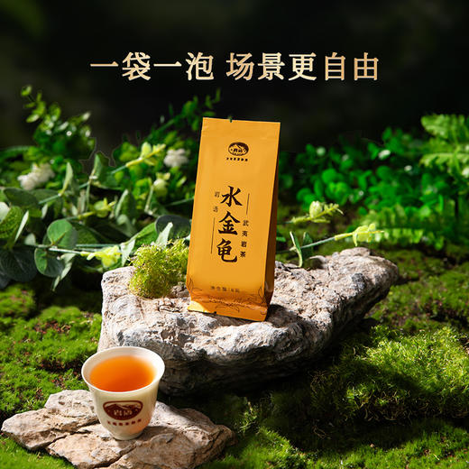 岩语 水金龟 武夷岩茶四大名丛特级乌龙茶试饮装茶叶品鉴装16g 商品图3