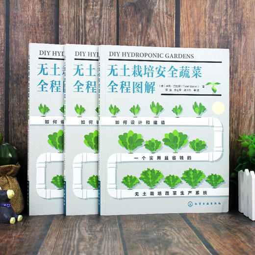 无土栽培安全蔬菜全程图解 商品图2