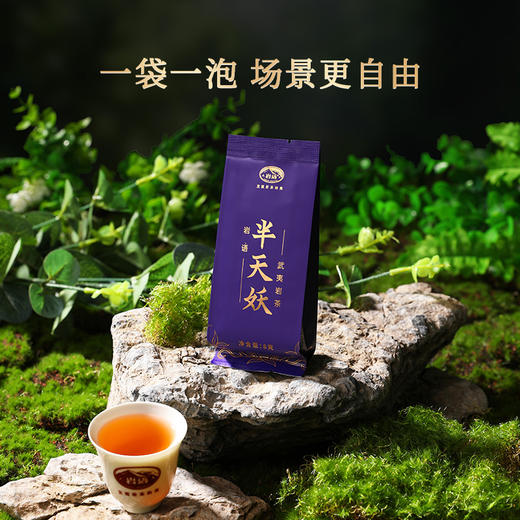 岩语 半天妖 武夷岩茶四大名丛特级乌龙茶试饮装茶叶品鉴装16g 商品图3