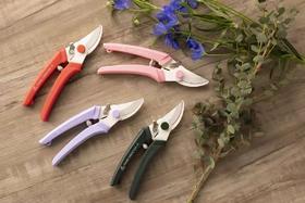 坂源枝剪（颜色随机）