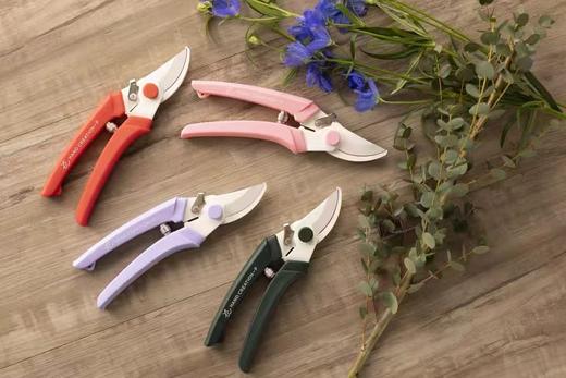 坂源枝剪（颜色随机） 商品图0