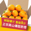 【冰糖甜爆汁！】橙子江西赣南品种脐橙10斤新鲜水果当季整箱正宗榨汁果冻橙冰糖甜。ha 商品缩略图4