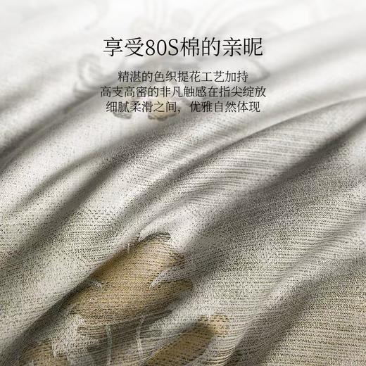 【云粉节】【满300减30】10楼罗卡芙ROYALCOVER  欧式复古长绒棉床单四件套 波隆纳  240*240cm  吊牌价 8980元 活动价 3980元 商品图4