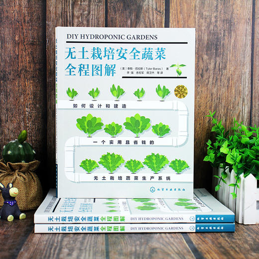 无土栽培安全蔬菜全程图解 商品图1