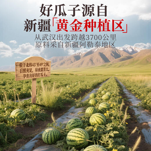 【量贩装】888g五香味红瓜子散装百里挑一瓜子婚宴办酒结婚喜糖零食 商品图2