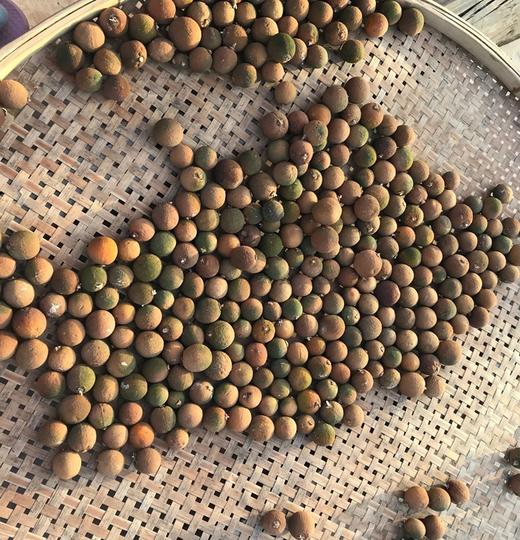 生态柑胎 云南柠檬君生态种植150克/罐【京东快递送货上门】 商品图2