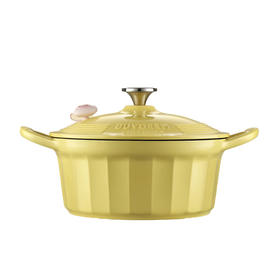 北鼎（Buydeem）珐琅锅铸铁锅【HSZQ10.0】