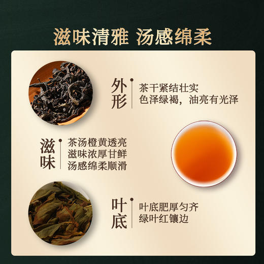 岩语 水金龟 武夷岩茶四大名丛特级乌龙茶试饮装茶叶品鉴装16g 商品图1