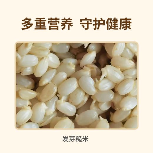 生态糙米  酵素生态六不用种植糙米2.5KG【京东快递送货上门】 商品图3