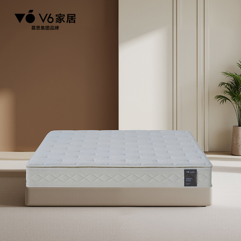 V6家居 MFB1-171如意垫