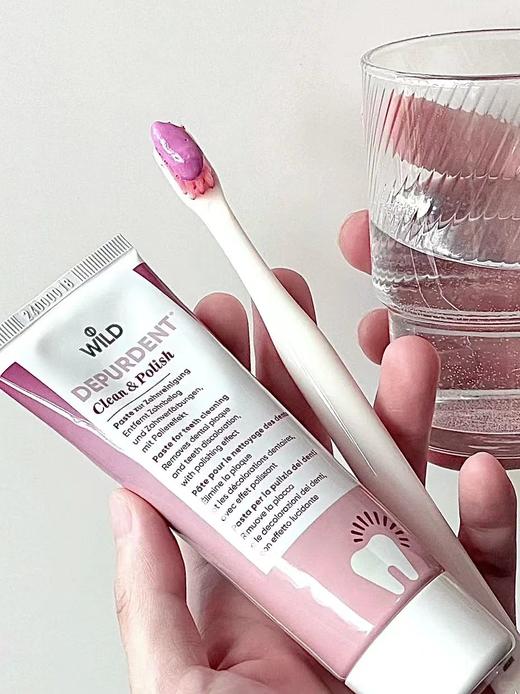 瑞士Wild 强功效牙含氟化亚锡防蛀固齿牙膏75ml/支 商品图2