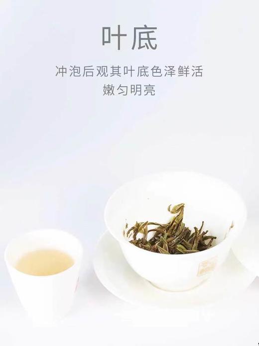 福鼎白茶 白毫银针50g礼盒装初心奉茶  【京东快递送货上门】 商品图3