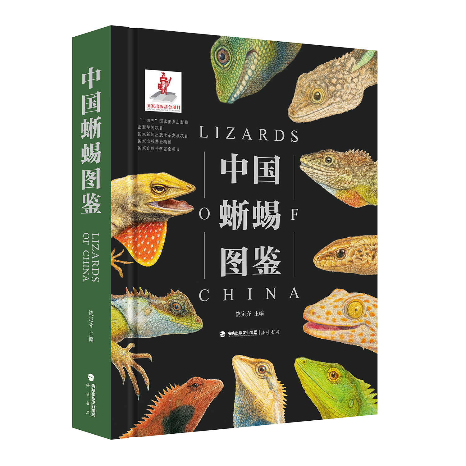 《中国蜥蜴图鉴》普通市售版、限定特装版 海峡书局【官方正版 48小时发货】