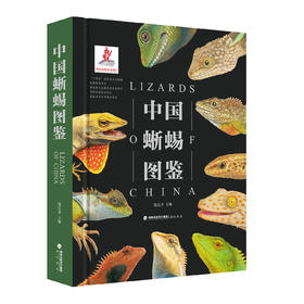 《中国蜥蜴图鉴》普通市售版 海峡书局【官方正版 48小时发货】