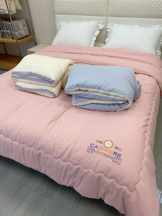 松植屋秋冬羊绒蛋白立体仓黑科技Pro被子双人加厚冬季被芯抑菌保暖 商品图7