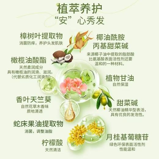 安姑娘植物功效型洗发露  去屑蓬松滋润柔顺300g/瓶【京东快递送货上门】 商品图5