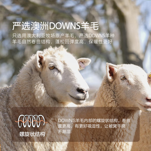 水星家纺 澳洲卷毛羊毛四季被春秋被冬被二合一被 商品图2