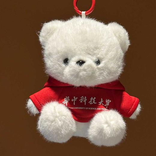 华科大毛绒卫衣纪念小熊 商品图9