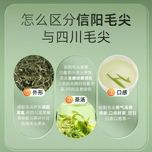 【2026年新茶预售】茶马世家丨 河南信阳毛尖 名优绿茶 特级 125g 罐装  双罐配手提袋 预计4月10日发货 商品图5