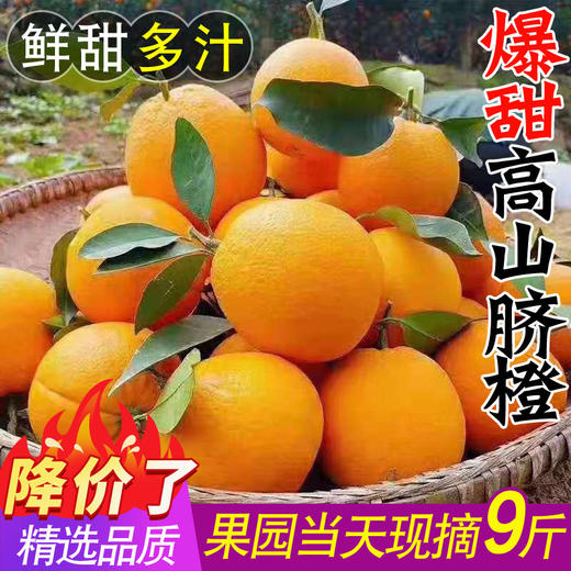 【冰糖甜爆汁！】橙子江西赣南品种脐橙10斤新鲜水果当季整箱正宗榨汁果冻橙冰糖甜。ha 商品图2