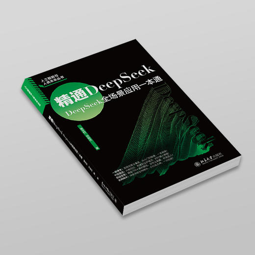 精通DeepSeek：DeepSeek全场景应用一本通 崔文竹 宁延杰 著 北京大学出版社 商品图2