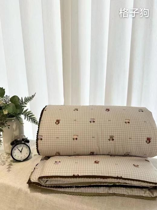 2025秋冬新款· 全棉大豆春秋被 商品图5