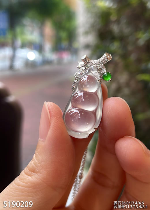 5190209，福豆吊坠。具体价格微信咨询 商品图0