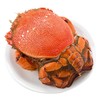 老虎蟹  200/300  1只/份 商品缩略图0