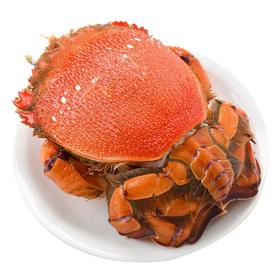 老虎蟹  200/300  1只/份