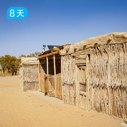 新线首发｜穿越塔克拉玛干沙漠 探秘达里雅布依 遇见南疆胡杨林 60公里徒步露营 8日 商品图8