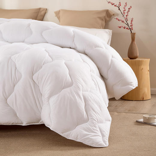 LOVO乐蜗XS NT-  轻柔蓬蓬冬被 白色 商品图2