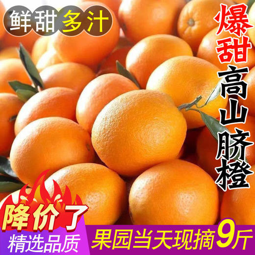 【冰糖甜爆汁！】橙子江西赣南品种脐橙10斤新鲜水果当季整箱正宗榨汁果冻橙冰糖甜。ha 商品图1