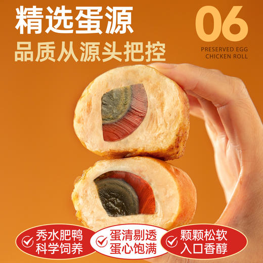 【退酮过渡】【生酮不可】享轻™松花鸡肉卷100g/袋 商品图4