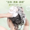 安姑娘植物功效型洗发露  去屑蓬松滋润柔顺300g/瓶【京东快递送货上门】 商品缩略图7