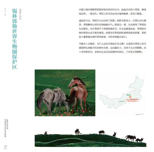 画游生态中国——中国生物圈保护区网络成员油画作品集（第一辑） 商品图2
