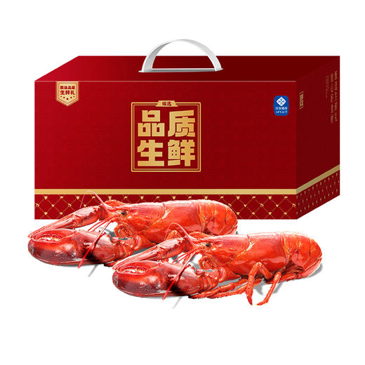 海神星波士顿龙虾礼盒*3【HSZQ20.0】 商品图0