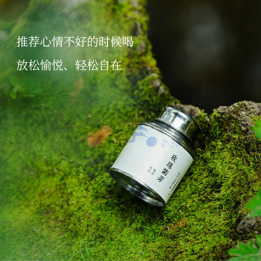 云南哀牢山「玫瑰紫芽茶」| 产自云南哀牢山秘境，香气奇特，犹如晨露的玫瑰香气 商品图0